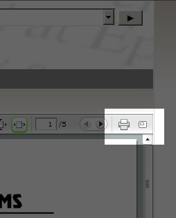 Print and fullscreen buttons